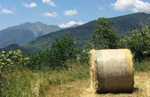 Casa Sperandini - Foto 14