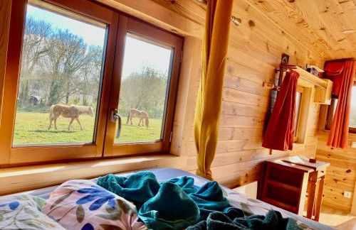 Vue Poneys, 40min Mt St Michel 30min Mer Draps Serviettes Baie Normandie Cottage - Foto 1