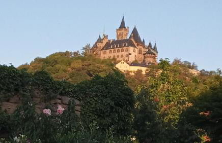 Haus Harzland - Foto 23