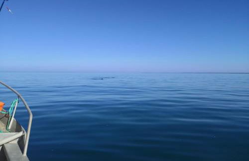 La maison du bout - Foto 8