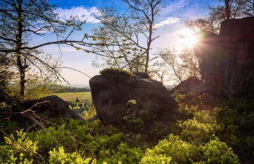 Apartamenty Cud Miód 2 - Foto 20