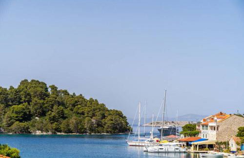 Corallium - Photo 29