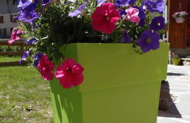 Chalet l'aubépine résidence B&B - Foto 47