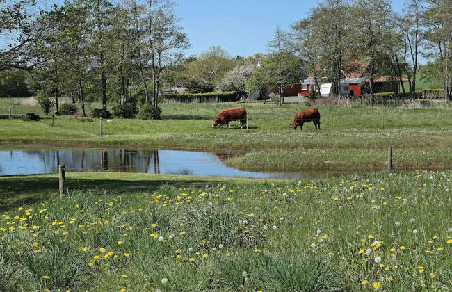 6 Person Holiday Home in Veslos-by Traum - Foto 29