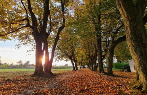 Dwór Podstolice - House of Rosenthal - Foto 16