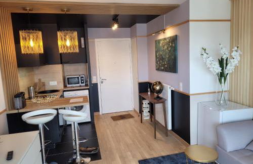 Biron deluxe studio flea market of Paris, porte de Montmartre - Foto 8