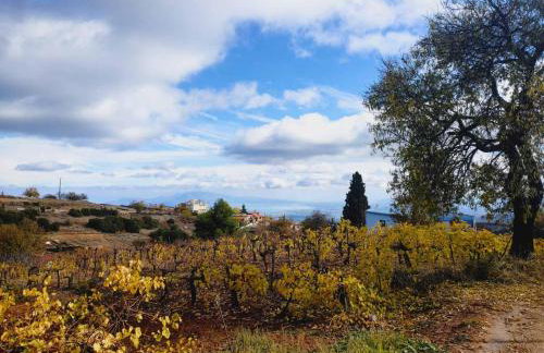 Sto Dimeiko - Foto 4