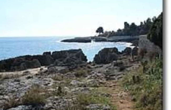 Villa Il Trullo - Photo 10