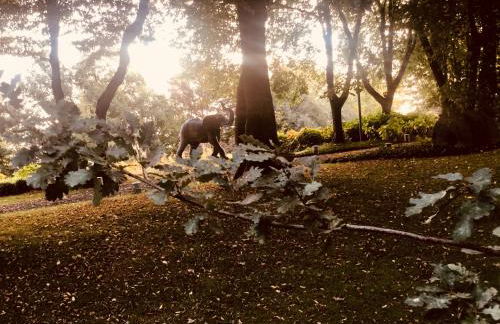 Chalet Bosco Magico Roccolo - Foto 35