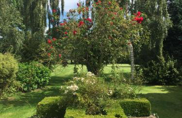 Cherry Tree - Foto 17