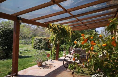 River Melody - Foto 8