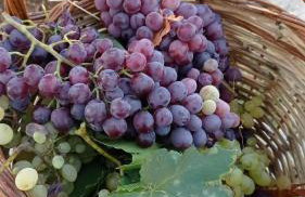 Evangelia House Sea View Apartments - Foto 39