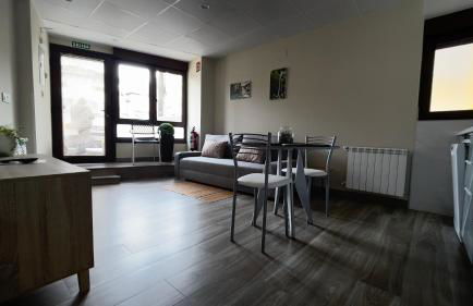 Lapaserina B - Foto 4