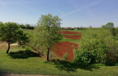 Apartman Nikola - Photo 28