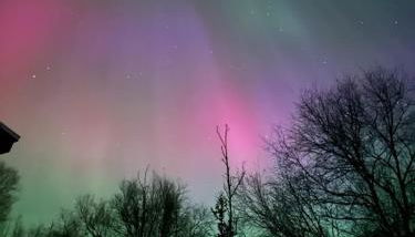 The Northern Lights Oasis - Foto 2