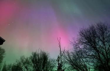 The Northern Lights Oasis - Foto 2