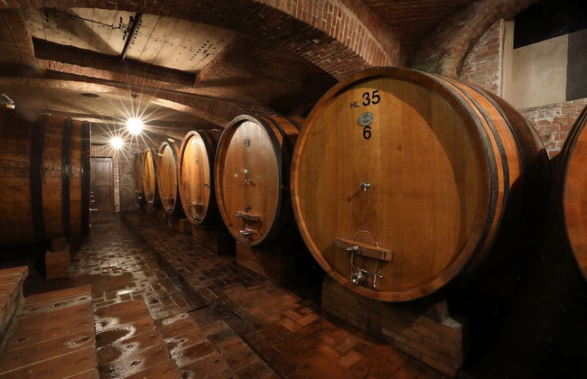 Locanda Dell'Orso Bevitore - Foto 29