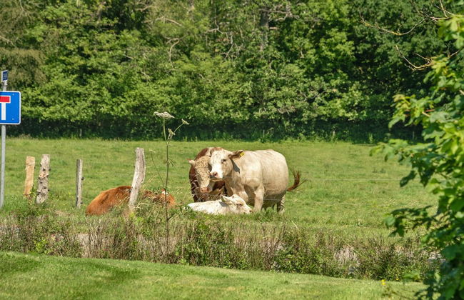 2 bedroom House in Egernsund with terrace - Photo 4