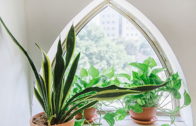 Flea Market Studios - Foto 18