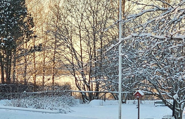 Carelian Pearl - House in Ilomantsi, Eastern Finland - Foto 36