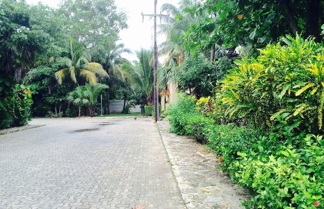 Villas Posada Xaguar by ChezPlaya - Photo 71