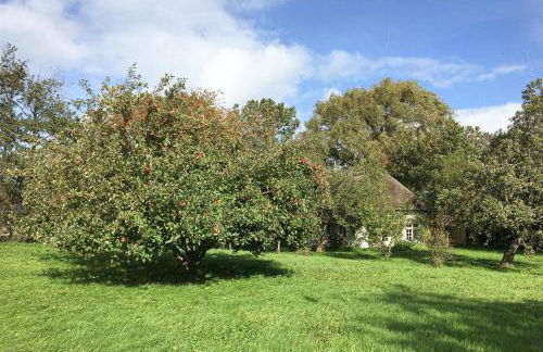 Das alte Zollhaus - Foto 21