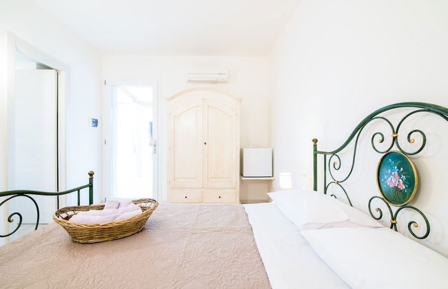 La Viola e il Sole - Foto 5