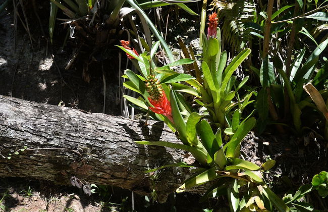 Pousada Sitio Olho Dagua - Foto 45