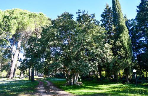 Dream House - Foto 49