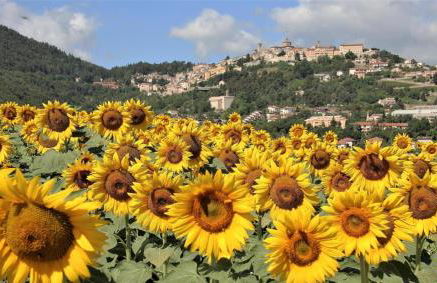 La casa di Mastro Ivetto - Foto 10
