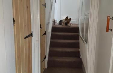 AA Apartment Westoe Road - Foto 3