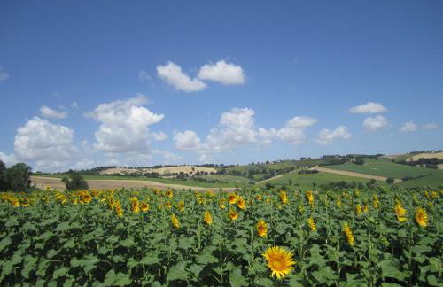 Il Giardino nella Valle - Foto 23