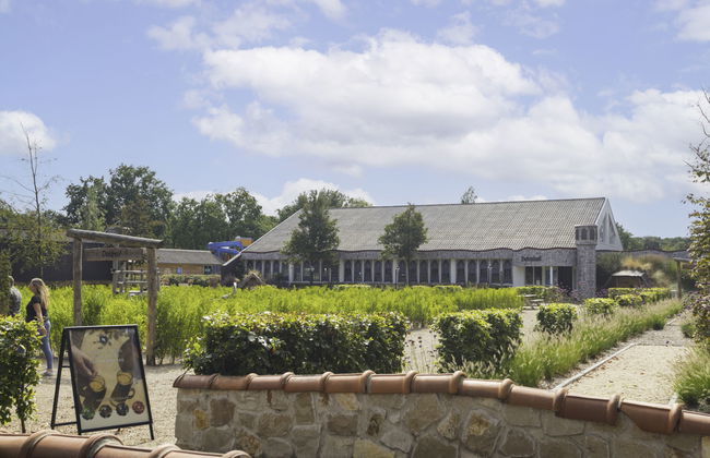 2 bedroom House in Kaatsheuvel with swimming pool and terrace - Photo 36