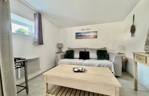 Gîte 2 à 4 pers Les Pommes de Pin Les Mathes La Palmyre proche zoo et plages - Photo 14