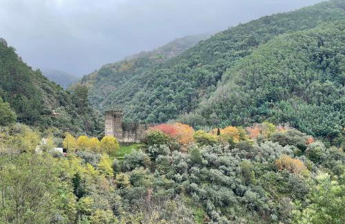 Quinta do Areal - Foto 53