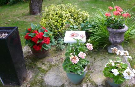 Hopewell self-catering - Foto 43