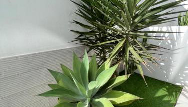 Corralejo Bristol terrace Apartment con giardino privato esterno - Foto 4, Garden