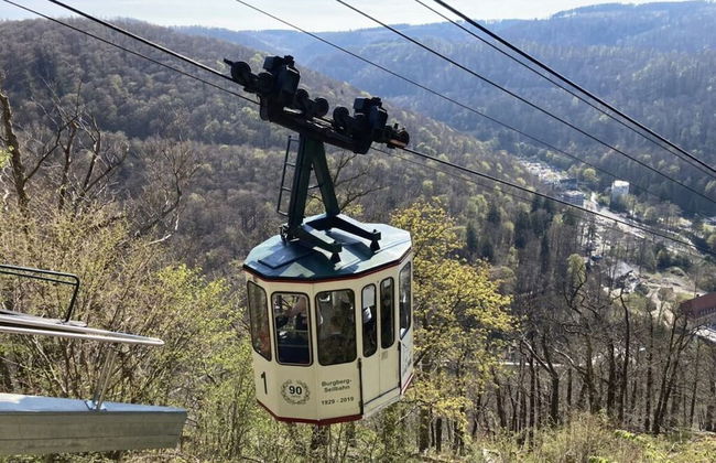 Summit Happiness at the Purple Beech - Foto 26