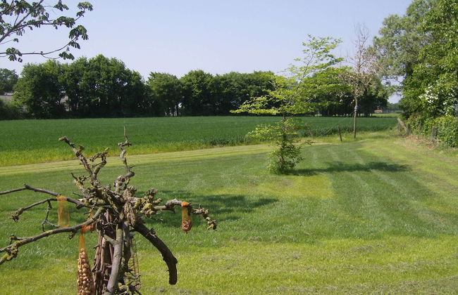 Pet-friendly Getaway - Photo 13