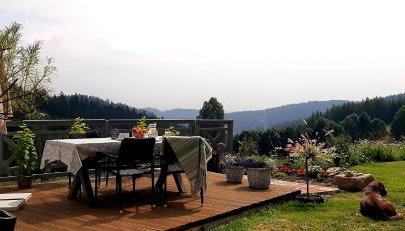 Apartament Czar-nów - Foto 5, Garden