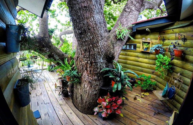 Quinta Pavo Real Complex by Acomodo - Photo 17