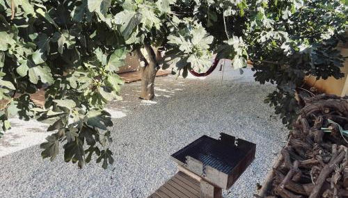 Casa La Higuera - Foto 2, Garden, Garden view