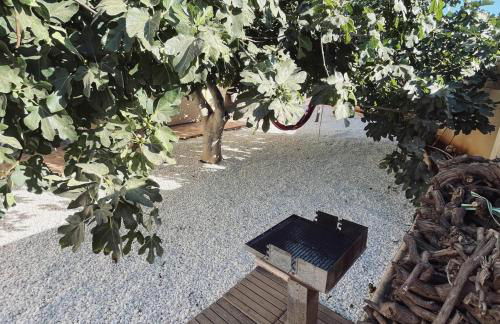 Casa La Higuera - Foto 2