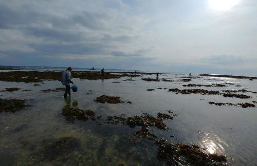 Maison de vacances 3 chambres à 400 m de la plage Kairon - Saint Pair sur mer - Foto 36