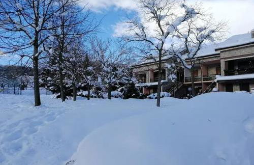 IL PICCOLO PARADISO - Foto 12