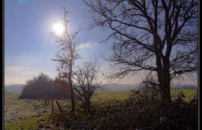 Holiday Home in Somme-leuze With Private Garden - Foto 41