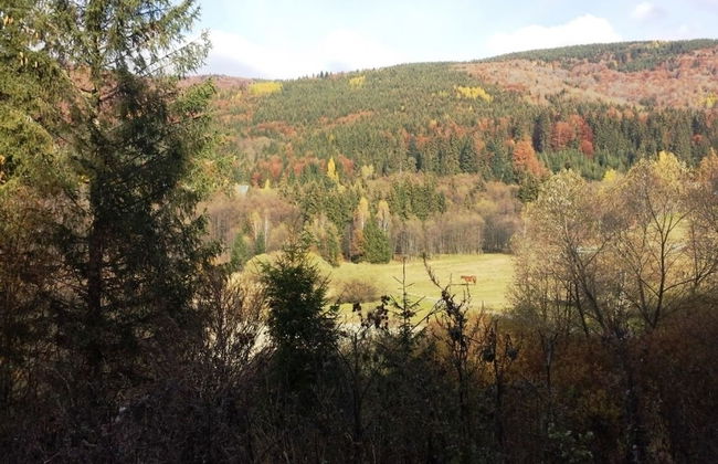 Ski-Lake Cottage Nízke Tatry - Foto 34