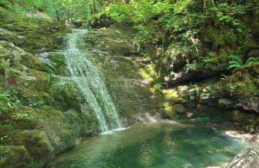 Appartement Entre terre et mer 4 personnes - Foto 11