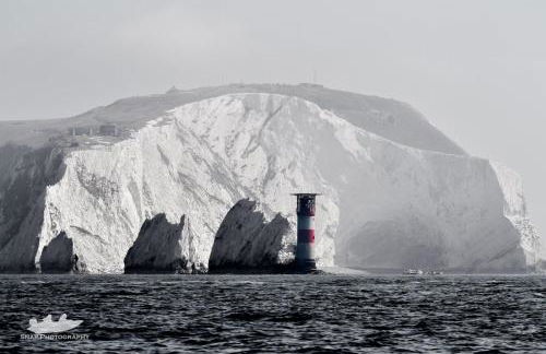 Pineview Retreat - Photo 48