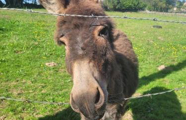 Bienvenue à La Sélinière ! - Foto 18